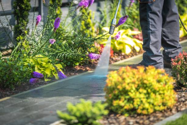 Best Dumpster Area Cleaning  in Carlyss, LA